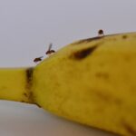 how associations stay relevant