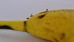 how associations stay relevant