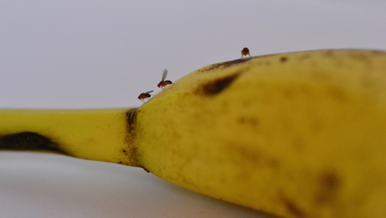 How Associations Stay Relevant